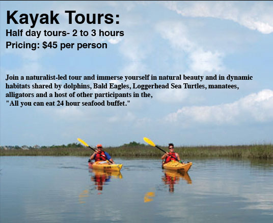 kayak tours folly beach and charleston area