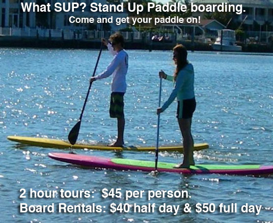 SUP stand up paddle boarding Folly Beach and charleston sc
